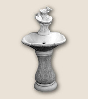 Art. 55