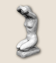Art. 224