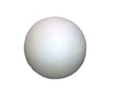Art. 981