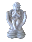 Art. 971
