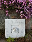 Art. 975