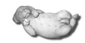 Art. 2003