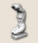 Art. 224